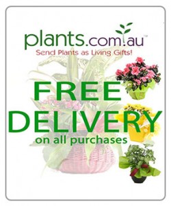 plants.com.au